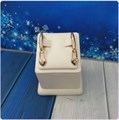 П2.С3057 СЕРЬГИ 2.1.3057.50